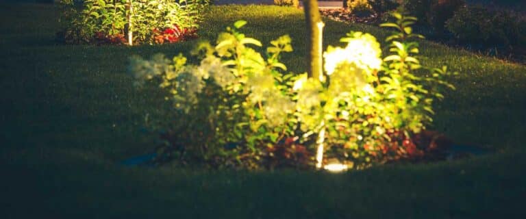 5 Things to Consider When Installing Landscape Lights