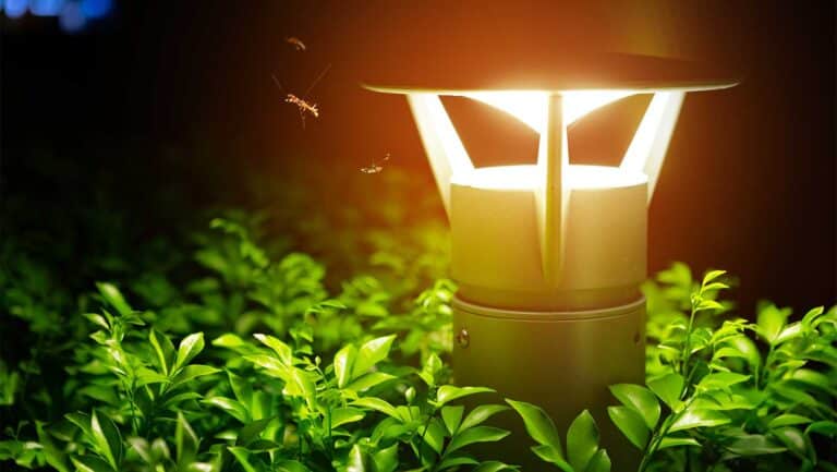 bug-free-outdoor-lightng
