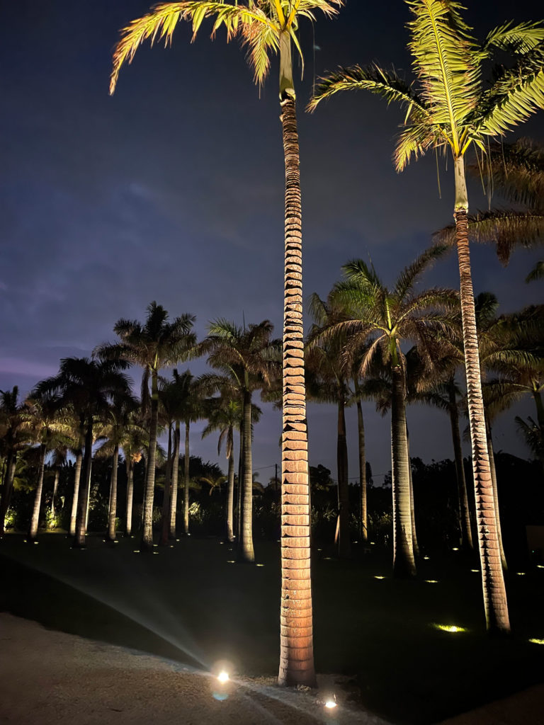 landscape-lighting-sarasota-IMG_0526