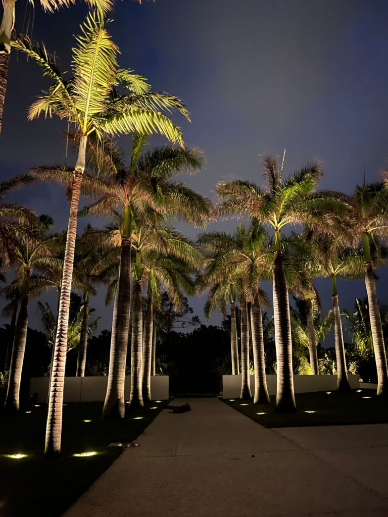 landscape-lighting-sarasota-IMG_0529