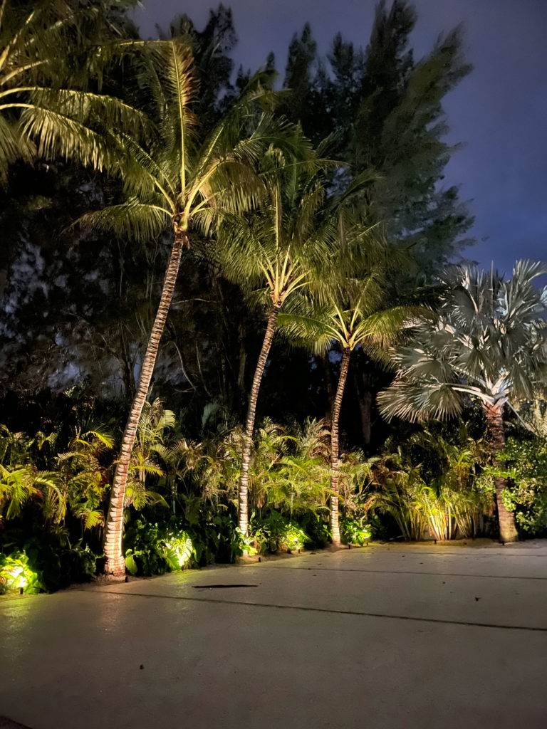 landscape-lighting-sarasota-IMG_0539